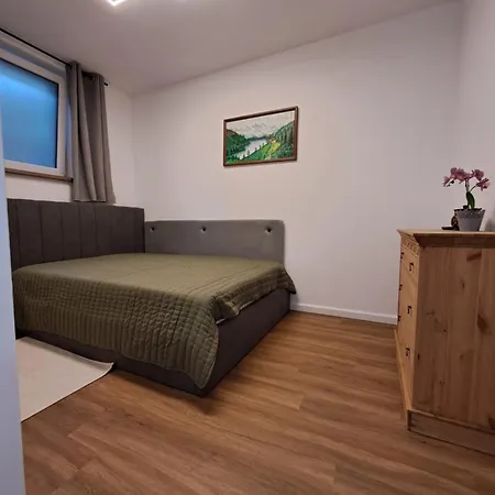 Hahnenblick شقة Hahnenbach